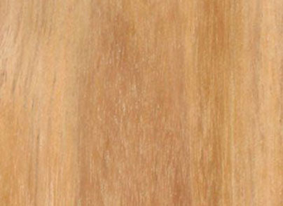 Teakwood texture, closeup of golden teak wood grain background