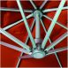 double-canopy-cantilever2